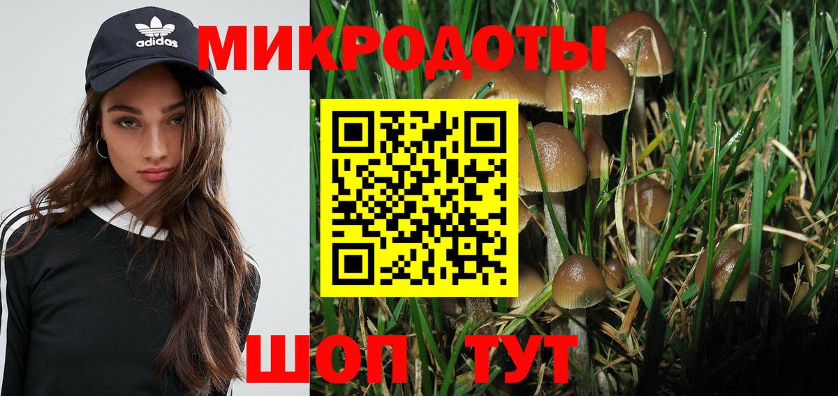 Галлюциногенные грибы GOLDEN TEACHER Каменск-Уральский